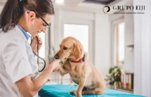 marketing en redes clinica veterinaria