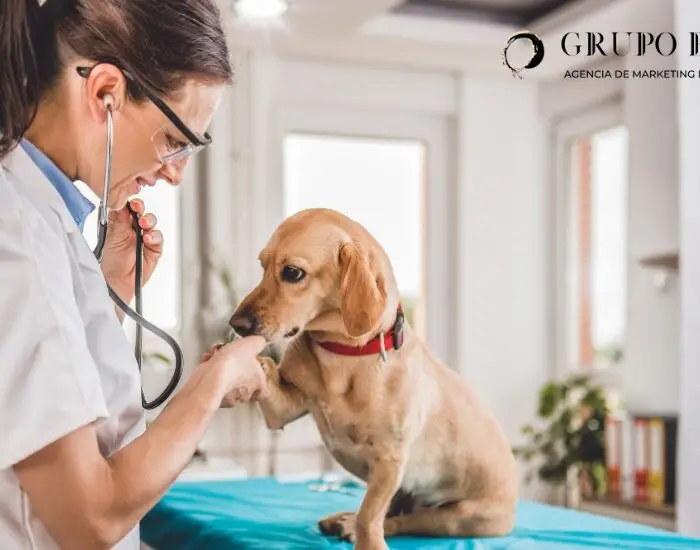 marketing en redes clinica veterinaria